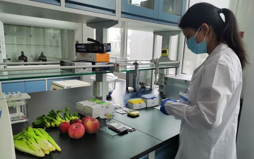 食品安全檢測 食品安全檢測