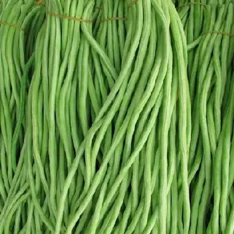 豇豆農藥殘留突出問題